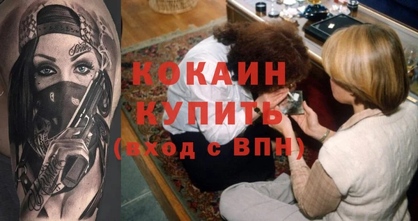 spice Новозыбков