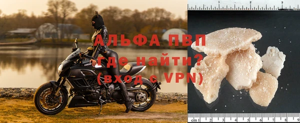 крисы Кизел
