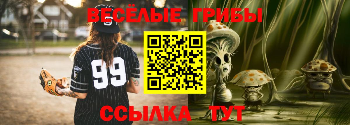 Псилоцибиновые грибы Cubensis  Вход с VPN  Реж 