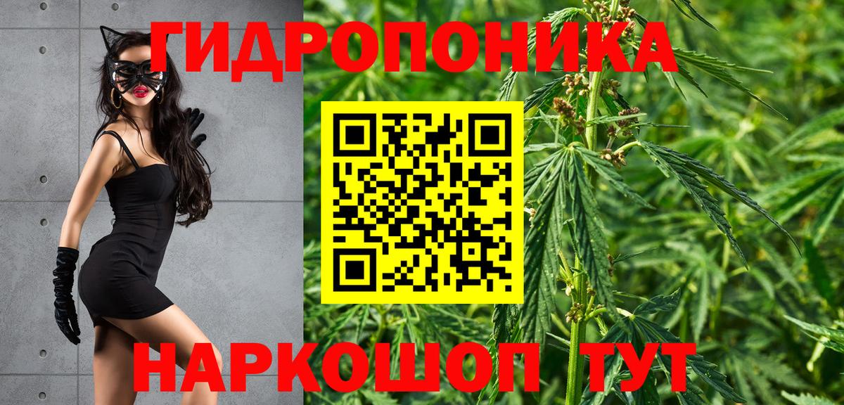 Канабис White Widow  Конопля White Widow  Бошки Шишки конопля  Реж  Вход с VPN  МАРИХУАНА семена 